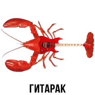 @shblok whatsapp stickers