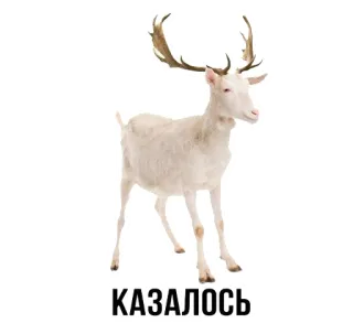🦌 074a638f КАЗАЛОСЬ Hirsch, Tier, scheinbar, russisch, Text, Hörner telegram sticker