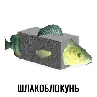 🐟 3aaeed64 ШЛАКОБЛОКУНЬ fisch, block, humor, tier, beton, wortspiel telegram sticker