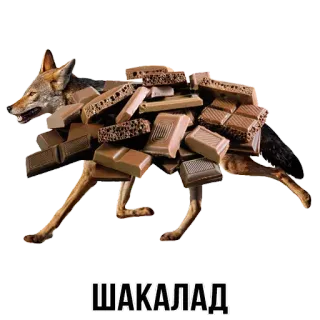 🐆 73d3d9c3 ШАКАЛАД Schakal, Schokolade, Tier, Süß, Essen, Russisch telegram sticker
