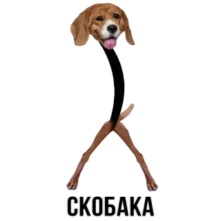 🐶 7e531b1f СКОБАКА Hund, Aufkleber, lustig, Tier telegram sticker