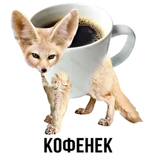☕ 8b3ea65e КОФЕНЕК Wüstenfuchs, Kaffee, Tasse, Tier, süß, lustig telegram sticker