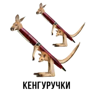 🦘 a7fc817c КЕНГУРУЧКИ Känguru, Stift, Tier, Schreibwaren telegram sticker