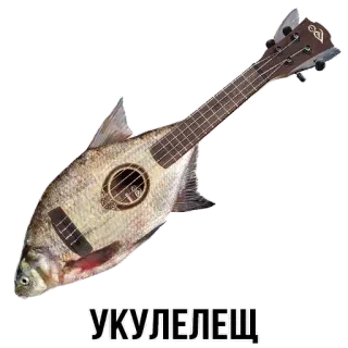 @tgsticker Шлакоблокунь и друзья telegram stickers