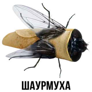 @tgsticker Шлакоблокунь и друзья telegram stickers