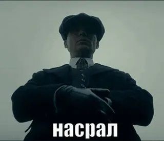 🌟 5169abb0 Thomas Shelby Peaky Blinders насрал 浴血黑帮, 托马斯·谢尔比, 冒犯性语言, 俄语, 脏话 telegram sticker