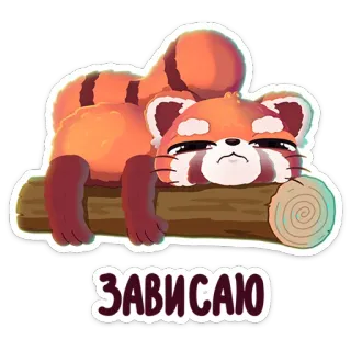🌟 370cc9d8 ЗАВИСАЮ panda merah, imut, mengantuk, berbaring, hewan, relaksasi, rusia, teks telegram sticker