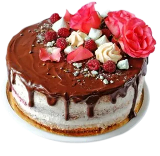 深夜剧毒 @ShenYeJD whatsapp stickers