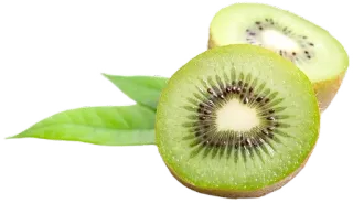 深夜剧毒 @ShenYeJD telegram stickers