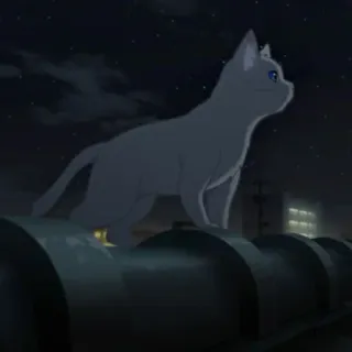 🎗 04bd97bd gato, anime, noche, azotea, ciudad, animal telegram sticker