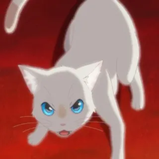 🎗 3b67b972 gato, animal, gato blanco, ojos azules, anime telegram sticker