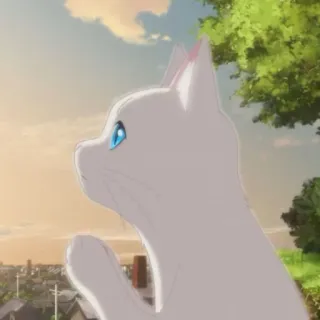 🎗 95019c04 gato, anime, ojos azules, cielo, lindo, animal, mascota telegram sticker