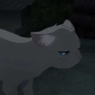 🎗 e02da423 gato, animal, gato blanco, animal doméstico, ojos azules telegram sticker