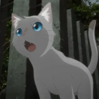 🎗 efba4e2b gato, anime, animal, lindo, gatito, mascota telegram sticker