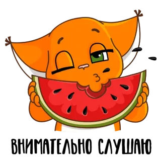 😙 f37d9ca5 Уже не хочу! 猫, 西瓜, 橙子, 卡通, 贴纸, 文字, 吃, 食物 telegram sticker