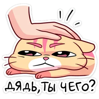 😠 44e11769 ДЯДЬ, ТЫ ЧЕГО? gatto, animale, meme, divertente, adesivo, domanda, carino telegram sticker