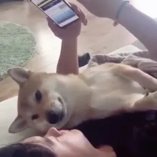 😊 47cd1a36 telegram sticker