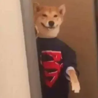 😏 60cc8ef4 telegram sticker