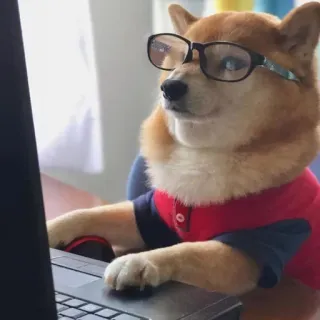 😏 89ec7c8b cane, shiba inu, computer, occhiali, animale, animale domestico, laptop, nerd telegram sticker