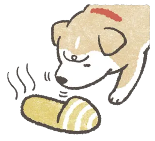 😶 e3956627 perro, shiba inu, zapatilla, olor, mascota, animal telegram sticker