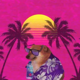 🐕 256f55d1 FIJI doge, cane, acqua fiji, tropicale, spiaggia, meme, tramonto telegram sticker