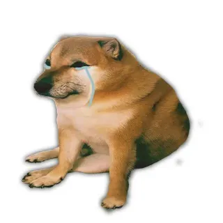 🐕 314fcd5e cheems, doge, pianto, meme, cane telegram sticker
