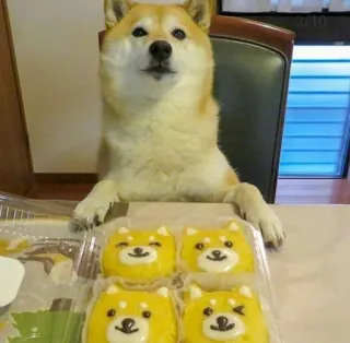 😋 0b9f70e8 shiba inu, anjing, binatang, hidangan penutup, imut, makanan, camilan telegram sticker