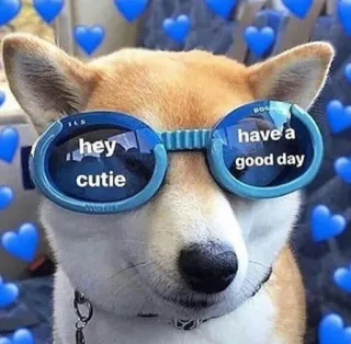 😎 1bcaa37a hey cutie have a good day anjing, shiba inu, kacamata hitam, lucu, hati, meme, hewan peliharaan telegram sticker