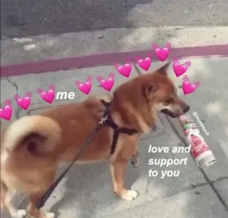 🥰 2bf2e559 me
love and support
to you anjing, imut, hewan peliharaan, cinta, dukungan, hati, kebaikan, kasih sayang telegram sticker