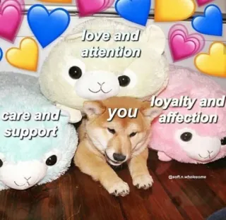 😬 2f4585f7 love and attention
care and support
you
loyalty and affection anjing, cinta, dukungan, perawatan, kasih sayang, kesetiaan, perhatian, hewan telegram sticker