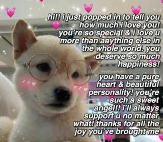 💕 7be10a2c hi!! i just popped in to tell you
how much i love you!
you're so special & i love u
more than anything else in
the whole world. you
deserve so much
happiness!
you have a pure
heart & beautiful
personality! you're
such a sweet
angel!! i'll always
support u no matter
what! thanks for all the
joy you've brought me anjing, cinta, imut, spesial, baik, positif, kebahagiaan telegram sticker