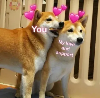 💘 9483d878 You My love and support shiba inu, anjing, cinta, dukungan, persahabatan, hati, meme telegram sticker