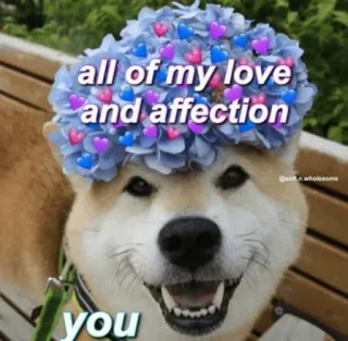 😍 afcdca8c all of my love
and affection
you anjing, cinta, kasih sayang, imut, hewan, hati, meme telegram sticker