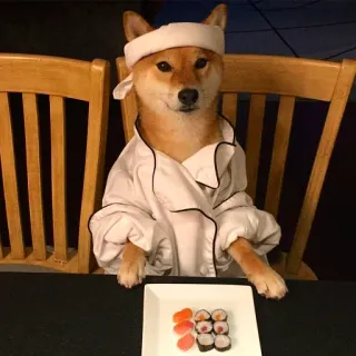 🍣 3e5632ad 犬, 寿司, シェフ, 食べ物, 動物, 可愛い, 柴犬 telegram sticker