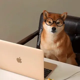 🤓 97ffcf45 @HappyGoRiley 犬, メガネ, ラップトップ, 柴犬, オフィス telegram sticker