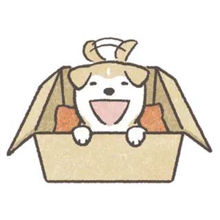 😃 26450557 dog, box, animal, pet, cute, happy telegram sticker