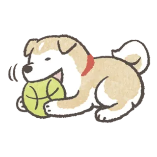 🎾 c2bd665d dog, shiba inu, ball, pet, animal, cute telegram sticker