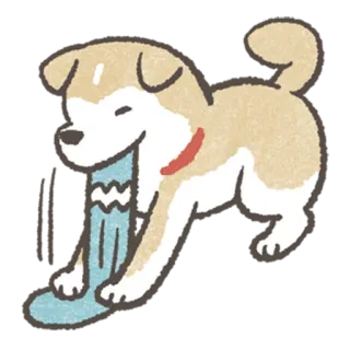 👟 e9830167 dog, sock, cute, pet, animal, playful, cartoon telegram sticker