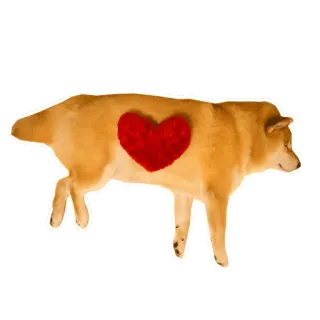 ❤ 6bdffd10 anjing, hati, cinta, hewan, hewan peliharaan whatsapp sticker