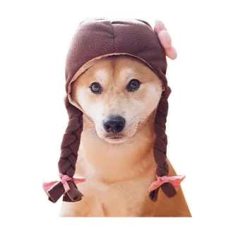 👧 704534eb anjing, hewan, topi, imut, hewan peliharaan whatsapp sticker