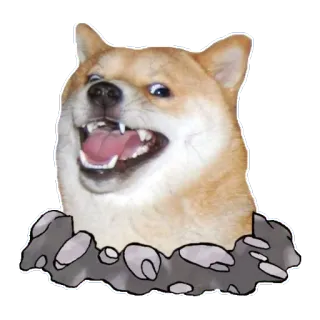 😃 83f4517b doge, anjing, meme, shiba inu, lucu, hewan whatsapp sticker