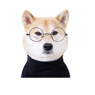 👓 ac6f23ae anjing, Shiba Inu, kacamata, culun, pintar, hewan peliharaan, binatang whatsapp sticker