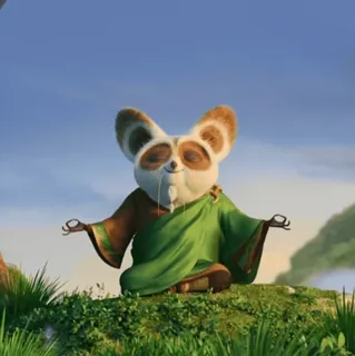 Мастер Шифу • @TgStickery whatsapp stickers