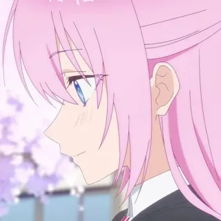 ≽ shikimori @stickernct whatsapp stickers