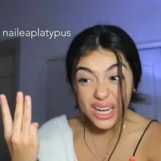 😡 e6baa17c naileaplatypus telegram sticker