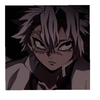 Shinazugawa brothers telegram stickers