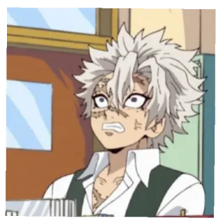 Shinazugawa brothers telegram stickers