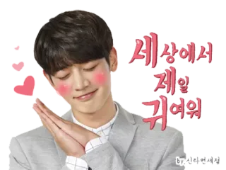 😴 43764549 세상에서 제일 귀여워 귀여운, 카와이, 사랑스러운, 볼터치, 한국, 남자, 분홍 telegram sticker