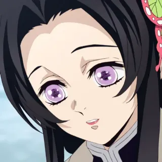 🌺 1206f481 Kanae Kocho Demon Slayer 애니메이션, 귀멸의 칼날, 코쵸 카나에, 캐릭터, 여자, 나비, 예쁜 telegram sticker