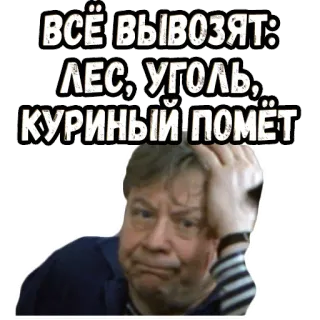 ☹️ 19824cf7 ВСЁ ВЫВОЗЯТ:
ЛЕС, УГОЛЬ, КУРИНЫЙ ПОМЁТ russian, sticker, humor, irony telegram sticker